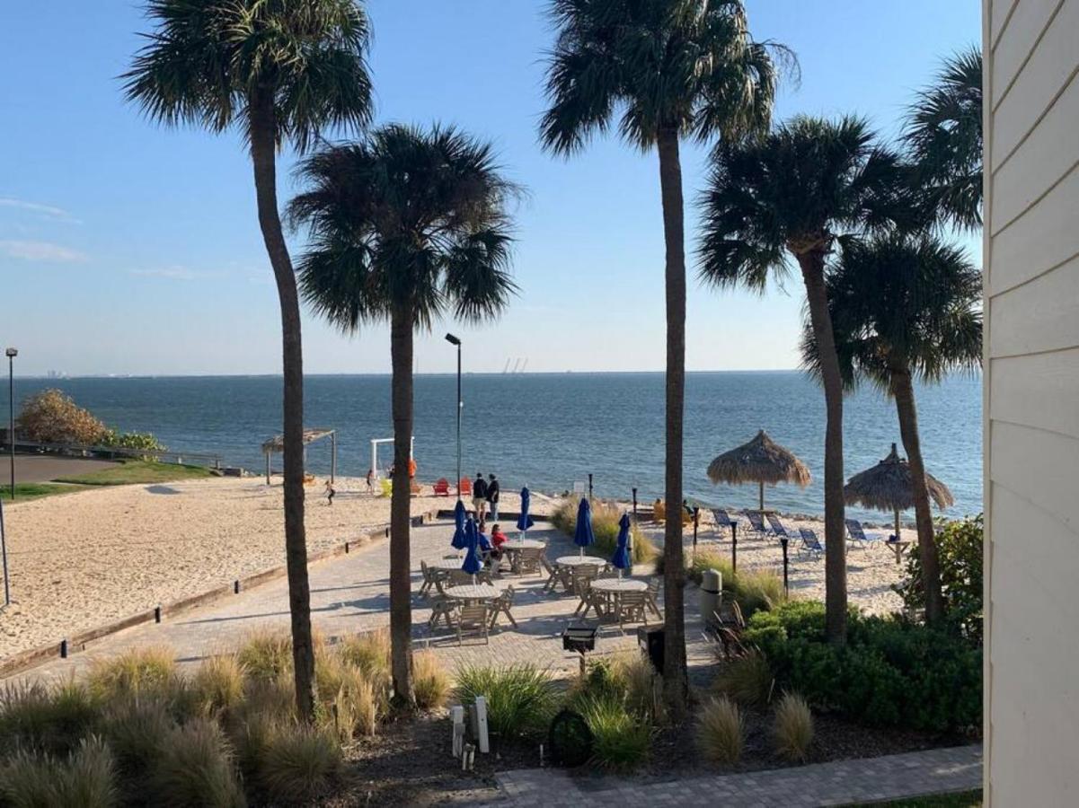 Bay Views From Your Balcony Beach Resort Tampa Exteriör bild