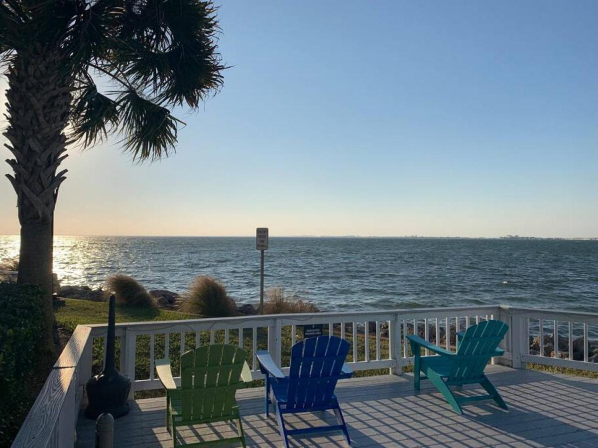 Bay Views From Your Balcony Beach Resort Tampa Exteriör bild