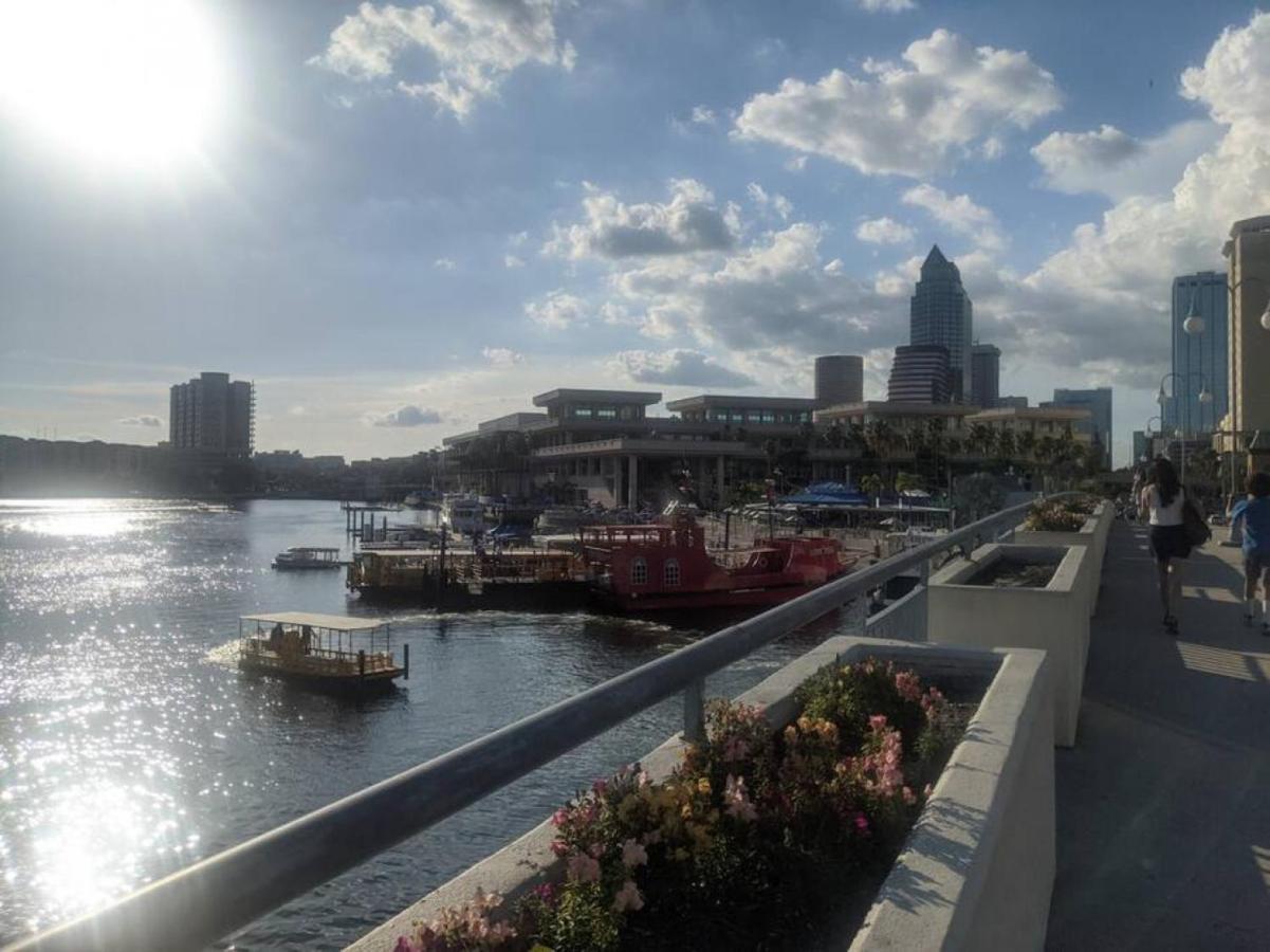 Bay Views From Your Balcony Beach Resort Tampa Exteriör bild